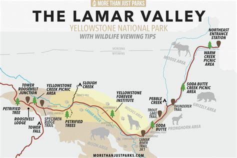 lamar valley cabins|yellowstone lamar valley wildlife viewpoints.